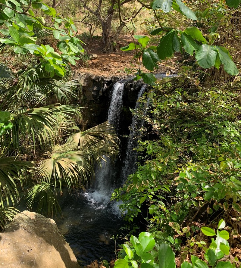 Bain des Négresses